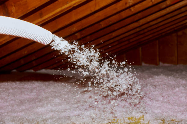 Best Crawl Space Insulation  in One Loudoun, VA